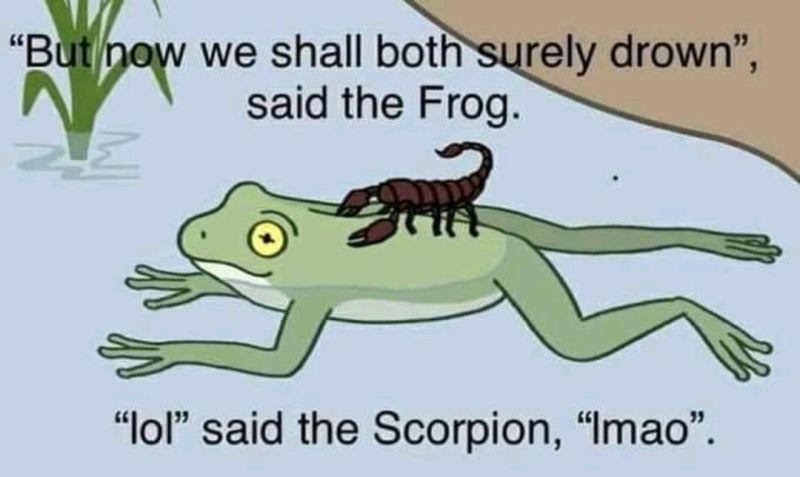 scorpion-frog.jpg